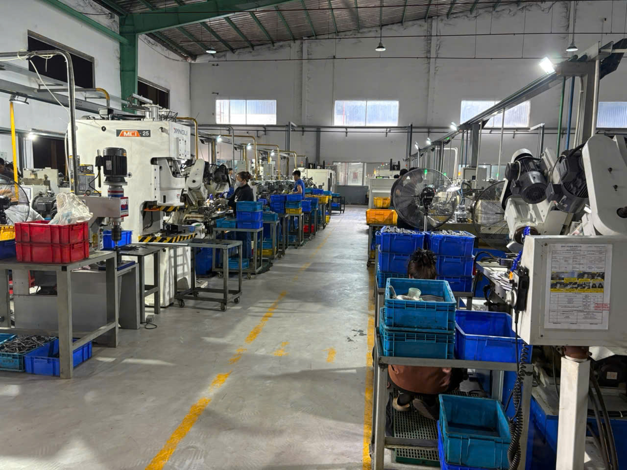 Production Lines 2.jpg